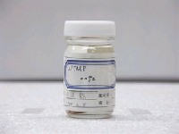 藏品(三斑圓雀鯛)的圖片